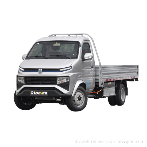 Ridever Electric Van Fence Cart Latest Hot Design Pure Electric Cargo Delivery Van